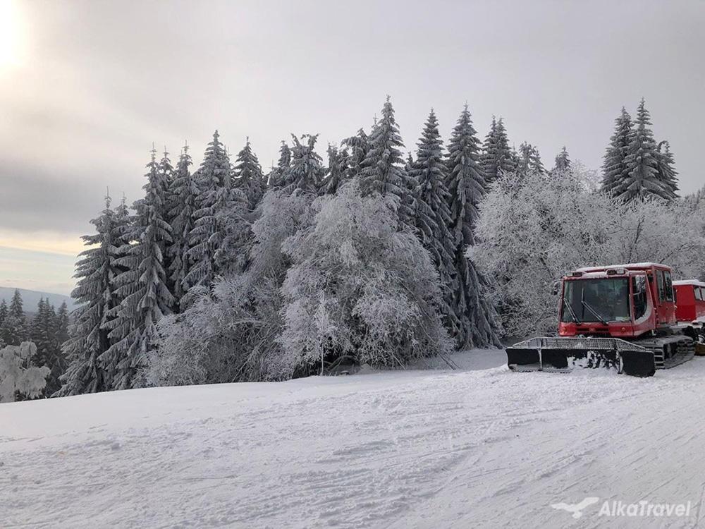 Design 1 - By Alkatravel, Ski&bike * Janské Lázně